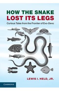Coperta cărții 'How the Snake Lost Its Legs: Curious Tales from the Frontier of Evo-Devo - Lewis I. Held'