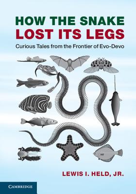 Coperta cărții 'How the Snake Lost Its Legs: Curious Tales from the Frontier of Evo-Devo - Lewis I. Held'