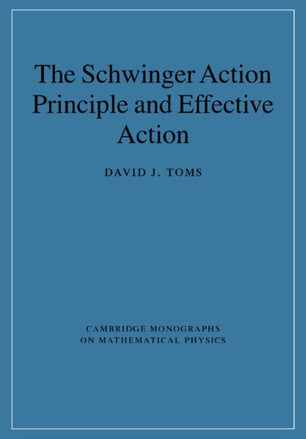 The Schwinger Action Principle and Effective Action - David J. Toms