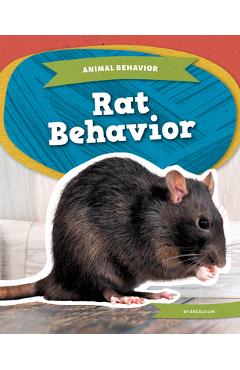 Coperta cărții 'Rat Behavior - Angela Lim'