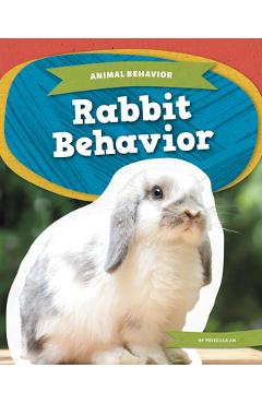 Coperta cărții 'Rabbit Behavior - Priscilla An'