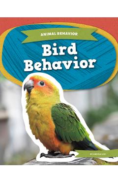 Coperta cărții 'Bird Behavior - Angela Lim'