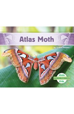 Coperta cărții 'Atlas Moth - Grace Hansen'