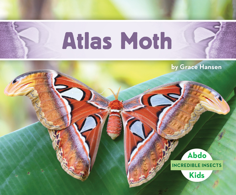 Coperta cărții 'Atlas Moth - Grace Hansen'