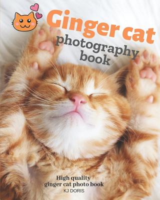 Ginger cat photography book: High quality ginger cat photo book - Kj Doris