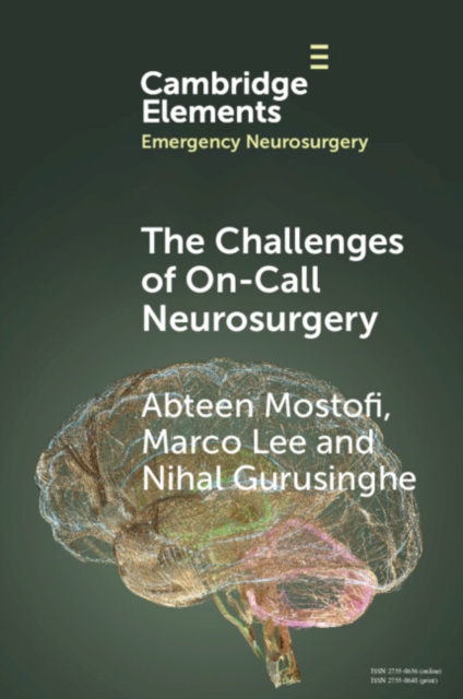 The Challenges of On-Call Neurosurgery - Abteen Mostofi