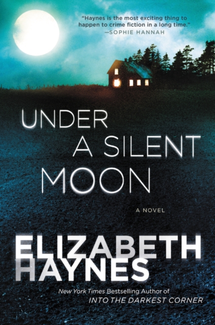 Under a Silent Moon - Elizabeth Haynes