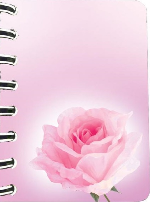 Carnet cu spirala: Trandafir roz-pal