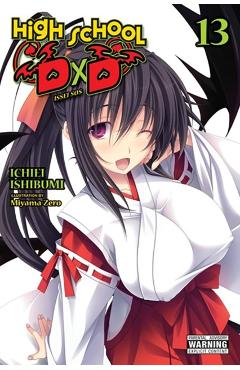 High School DXD, Vol. 13 (Light Novel) - Ichiei Ishibumi
