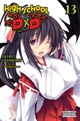 High School DXD, Vol. 13 (Light Novel) - Ichiei Ishibumi