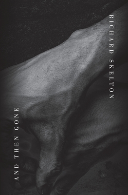 And Then Gone - Richard Skelton