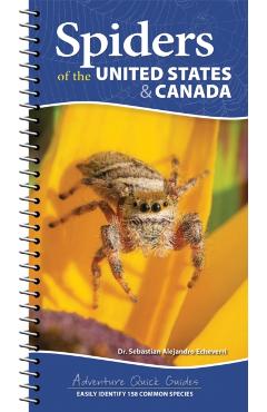 Spiders of the United States & Canada: Easily Identify 153 Common Species - Sebastian Alejandro Echeverri
