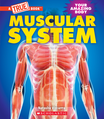 Muscular System (a True Book: Your Amazing Body) - Natasha Vizcarra