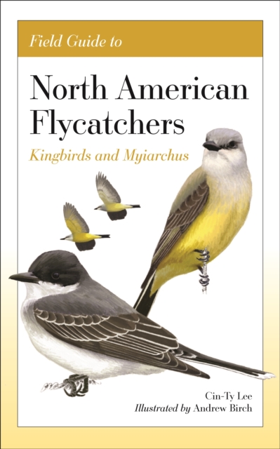 Field Guide to North American Flycatchers: Kingbirds and Myiarchus - Cin-ty Lee