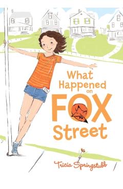 What Happened on Fox Street - Tricia Springstubb
