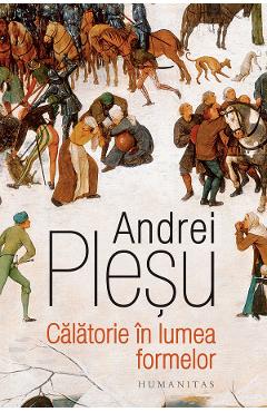 Calatorie in lumea formelor - Andrei Plesu