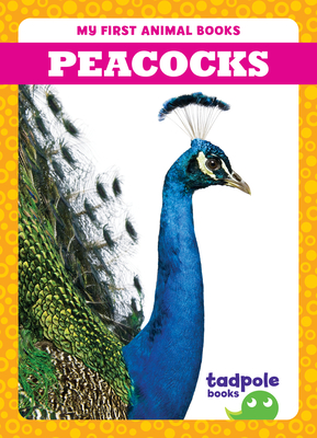 Peacocks - Natalie Deniston