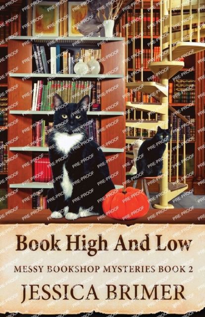 Book High And Low - Jessica Brimer