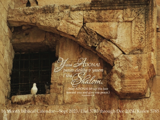 Shalom Calendar - Lisa Rubin