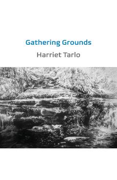 Poza produsului Gathering Grounds: 2011-2019 - Harriet Tarlo