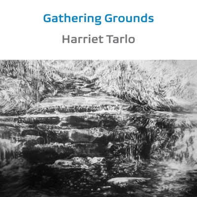 Gathering Grounds: 2011-2019 - Harriet Tarlo