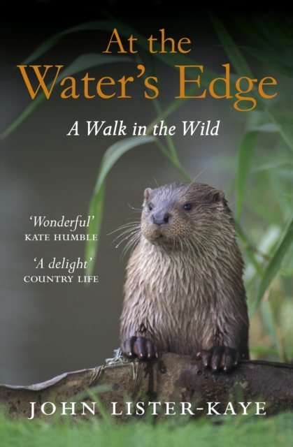 At the Water's Edge: A Walk in the Wild - John Lister-kaye