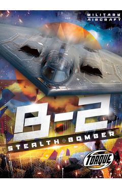 B-2 Stealth Bomber - Donna Mckinney
