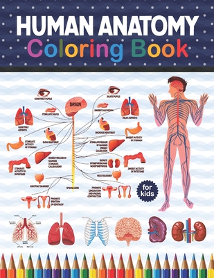 Coperta cărții 'Human Anatomy Coloring Book For Kids: Human Body Anatomy Coloring Book For Kids, Boys and Girls and Medical Students.'