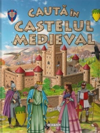 Cauta In Castelul Medieval