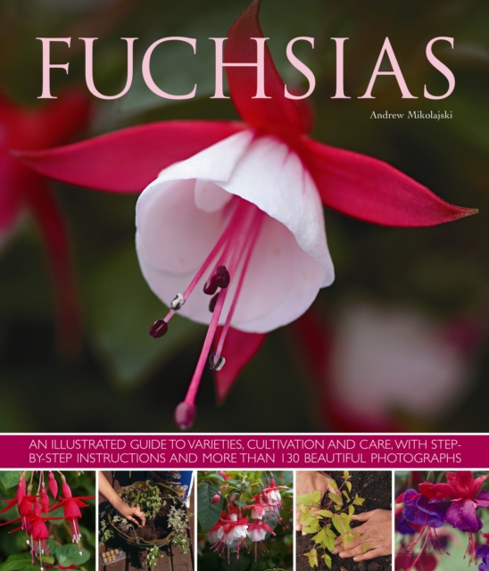 Fuchsias: An Illustrated Guide to Varieties, Cultivation and Care, with Step-By-Step Instructions and More Than 130 Beautiful Ph - Andrew Mikolajski