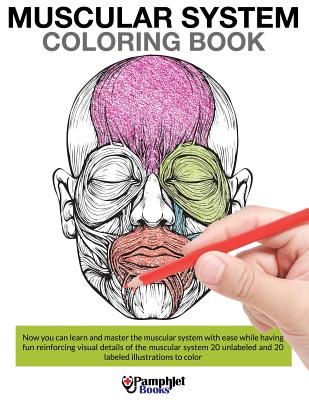 Muscular System Coloring Book - Pamphlet Books