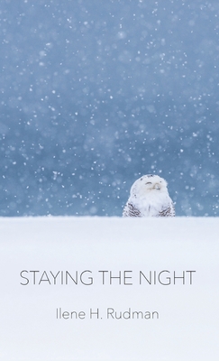 Staying The Night - Ilene H. Rudman