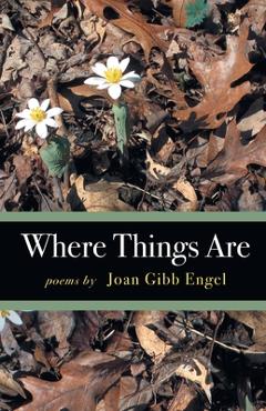Coperta cărții 'Where Things Are - Joan Engel'