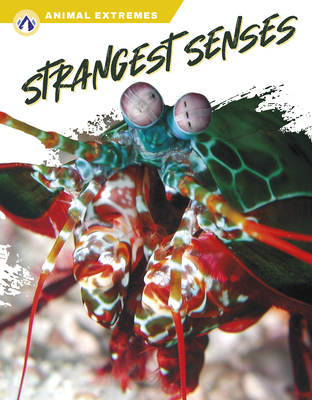 Strangest Senses - Ashley Gish