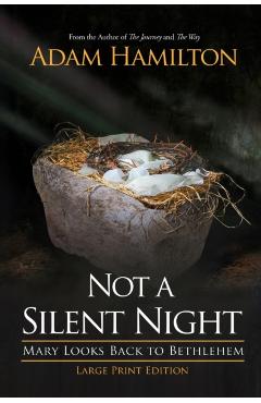 Not a Silent Night: Mary Looks Back to Bethlehem - Adam Hamilton
