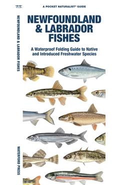 Poza produsului Newfoundland & Labrador Fishes: A Waterproof Folding Guide to Native and Introduced Freshwater Species - Matthew Morris