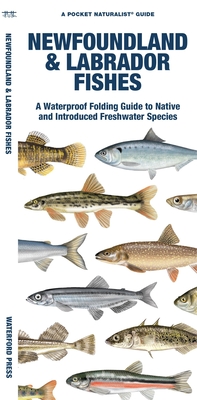 Newfoundland & Labrador Fishes: A Waterproof Folding Guide to Native and Introduced Freshwater Species - Matthew Morris