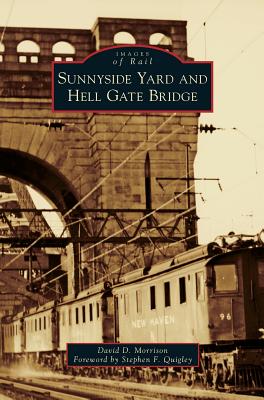 Sunnyside Yard and Hell Gate Bridge - David D. Morrison