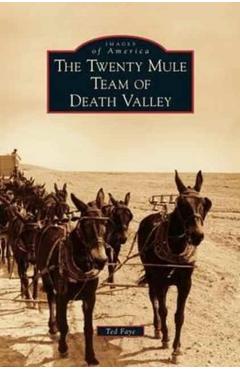 Coperta cărții 'Twenty Mule Team of Death Valley - Ted Faye'