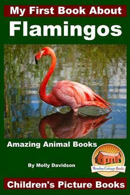 My First Book About Flamingos - Amazing Animal Books - Children's Picture Books - John Davidson