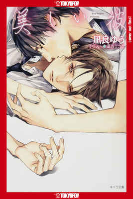 My Beautiful Man, Volume 1 (Light Novel) - Yuu Nagira