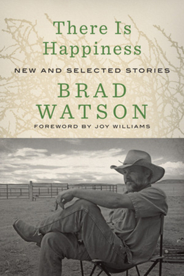 There Is Happiness: New and Selected Stories - Brad Watson