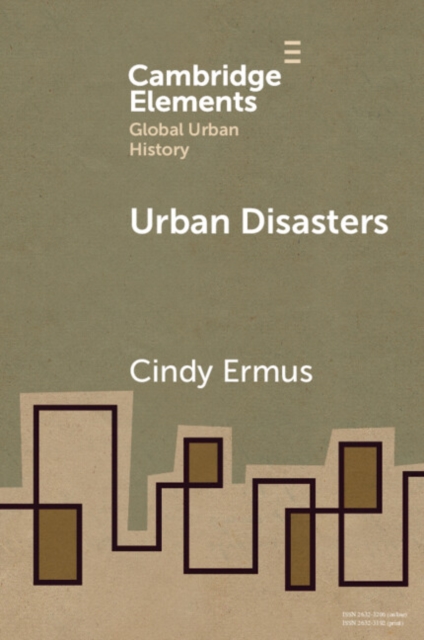 Urban Disasters - Cindy Ermus