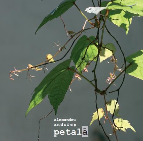 Coperta cărții 'Petala + bonus CD - Alexandru Andries'