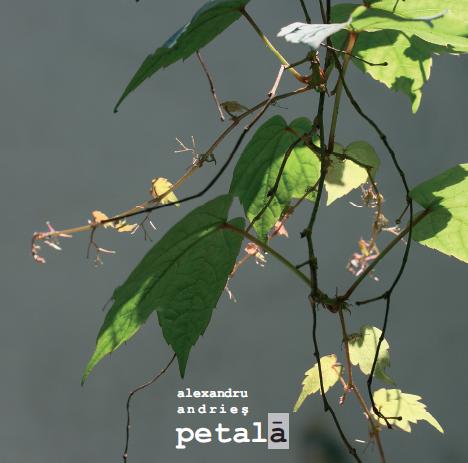 Imaginea produsului 'Cd Alexandru Andries - Petala'