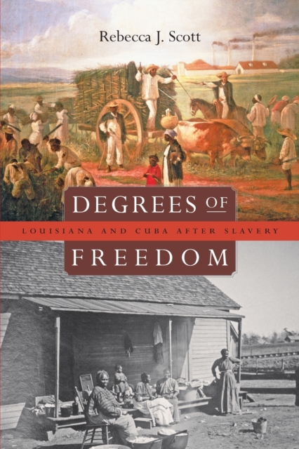 Degrees of Freedom: Louisiana and Cuba After Slavery - Rebecca J. Scott