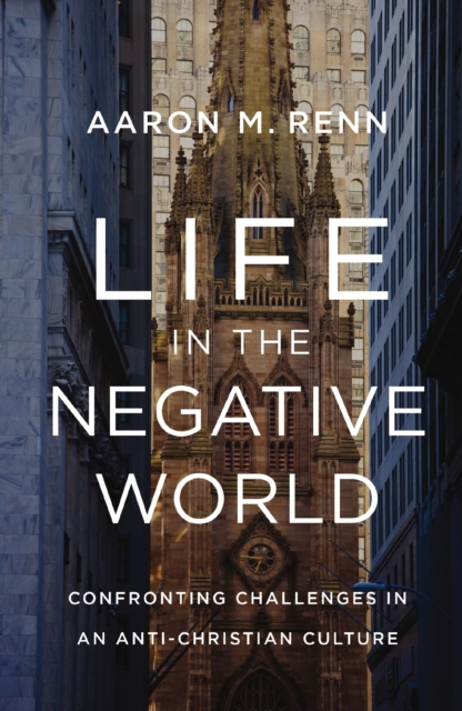 Life in the Negative World: Confronting Challenges in an Anti-Christian Culture - Aaron M. Renn