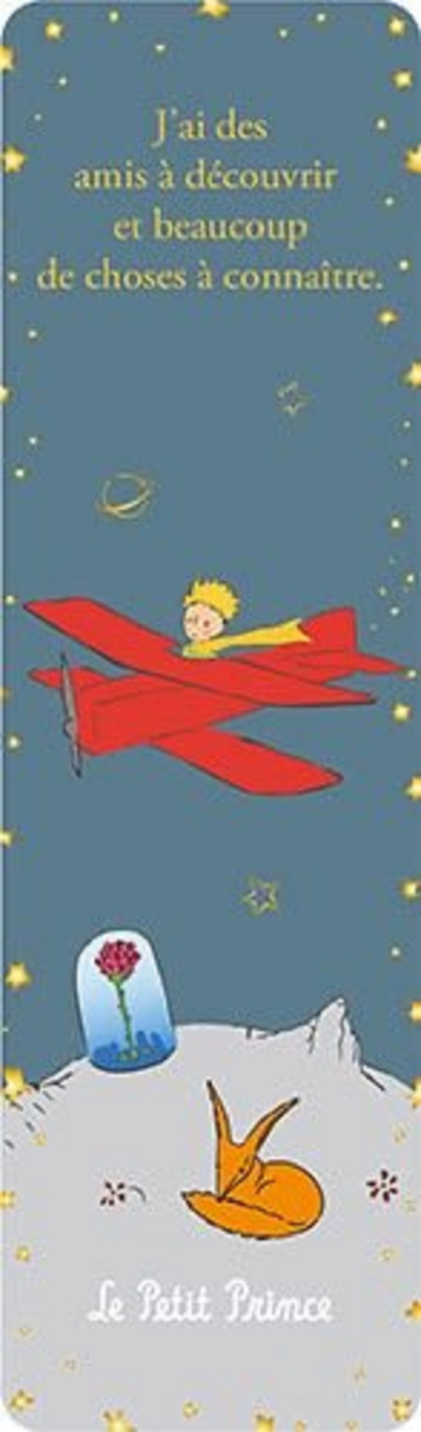 Semn de carte: Le Petit Prince. Avion