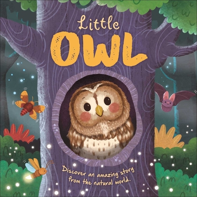 Nature Stories: Little Owl-Discover an Amazing Story from the Natural World: Padded Board Book - Igloobooks