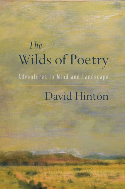 The Wilds of Poetry: Adventures in Mind and Landscape - David Hinton